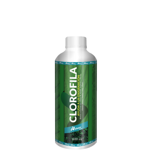 Clorofila - Imagen 2
