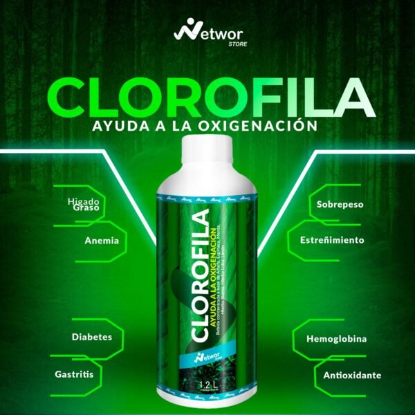 Clorofila - Imagen 2
