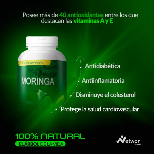 Moringa - Imagen 2